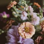 第一大弟子漫画画免费土豪漫画看:畅享精彩剧情与热血战斗的漫画盛宴 1035rp15m7