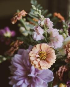 第一大弟子漫画画免费土豪漫画看：畅享精彩剧情与热血战斗的漫画盛宴