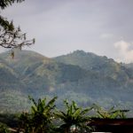 第一大弟子漫画:探寻修仙之路的热血冒险与成长故事 40caa6