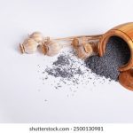 畅享9 1视频在线观看免费观看,尽情体验精彩内容 7el7tmw8hk