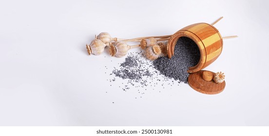 畅享9 1视频在线观看免费观看，尽情体验精彩内容