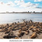 畅享久久小说下载:海量TXT电子书免费下载平台推荐 bfwst72