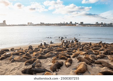 畅享久久小说下载：海量TXT电子书免费下载平台推荐