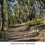 秘密花园:探索心灵深处的奇幻旅程 ft2kekzbh7