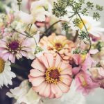 第一大弟子漫画的创作背景与作者介绍 l2pv0ufd45