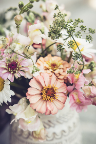 第一大弟子漫画的创作背景与作者介绍