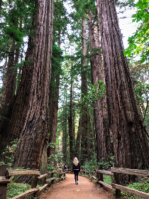 第一版主 GitHub：探索开源项目管理与社区建设的最佳实践