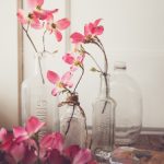 畅享VIP影院免费在线观看,尽享高清影视盛宴 mr9ow