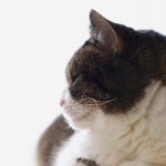 畅享bt电影天堂在线,尽情探索海量高清影视资源 n51d82nwf1