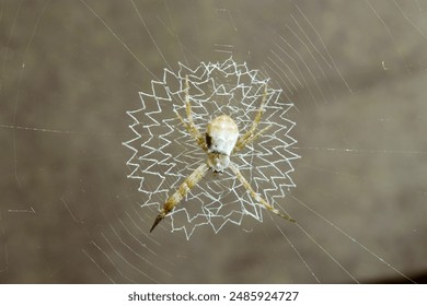 畅享七七影视大全：免费观看热门电视剧的最佳选择