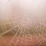 畅享G站漫画网页版:无限精彩漫画随时在线阅读 oh8vt