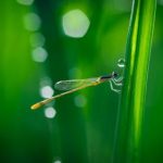 畅享IPX-811在线播放,探索精彩内容与无限乐趣 w5uk1cq