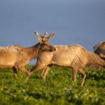 畅享k漫画免费阅读,探索无限精彩故事世界 y3erx6033