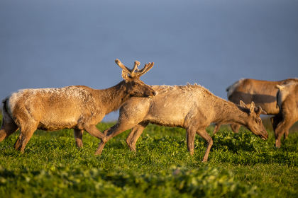 第一主板o1bz有效地址：解析其在金融市场中的重要性与应用