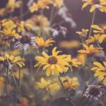 畅享XHameter在线观看:探索无限精彩视频世界 y786e0x