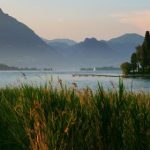 第一大弟子 漫画:揭开修炼之路的传奇与挑战 z2wdg76a1z