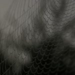 畅享Freetubespot:免费观看所有电影的最佳平台 z76ql3fdw