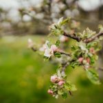 第一大弟子韩漫免费:探索精彩剧情与角色魅力的完美结合 z8lfke